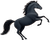 Shadowfax Logo